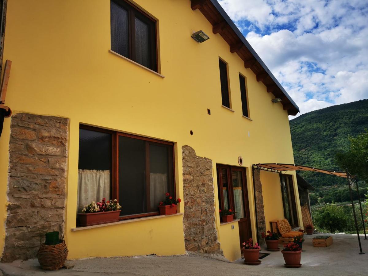 Agriturismo B&B Il Girasole Roccadaspide 외부 사진