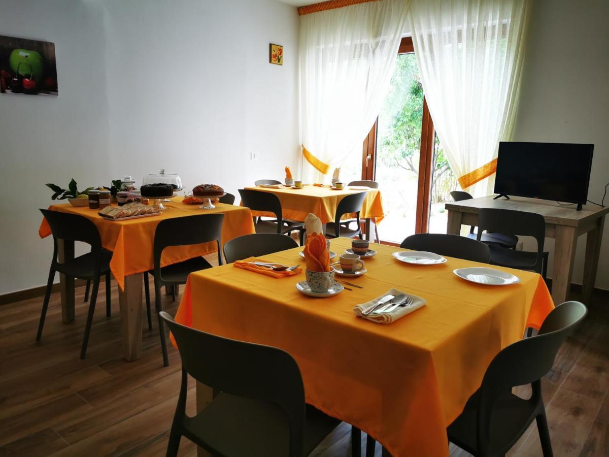 Agriturismo B&B Il Girasole Roccadaspide 외부 사진