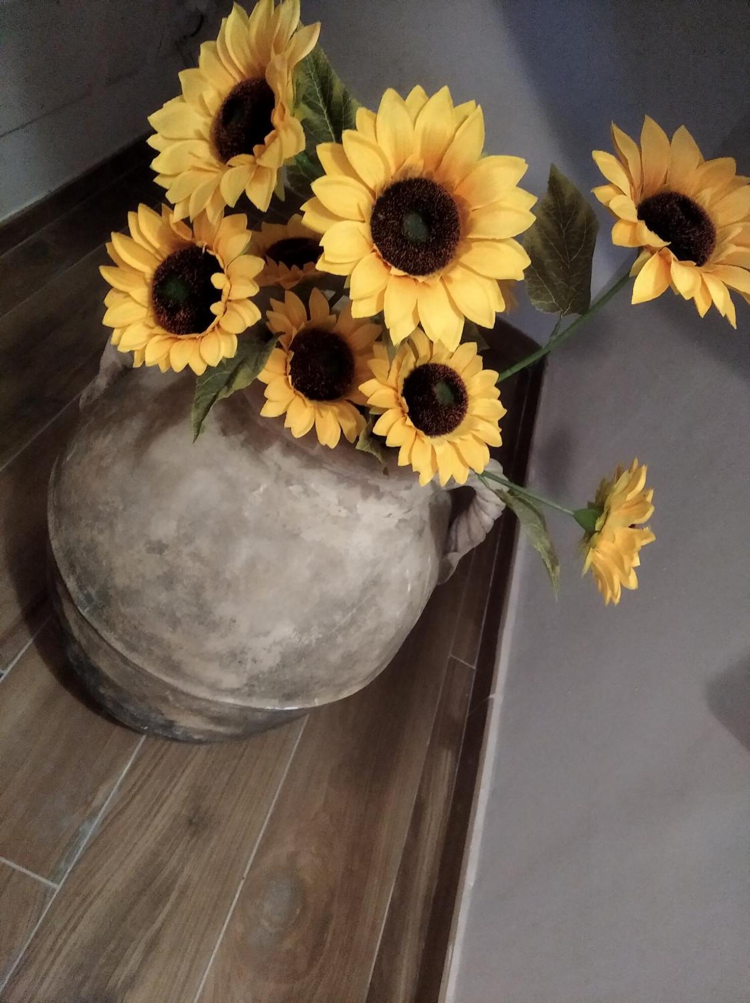 Agriturismo B&B Il Girasole Roccadaspide 외부 사진